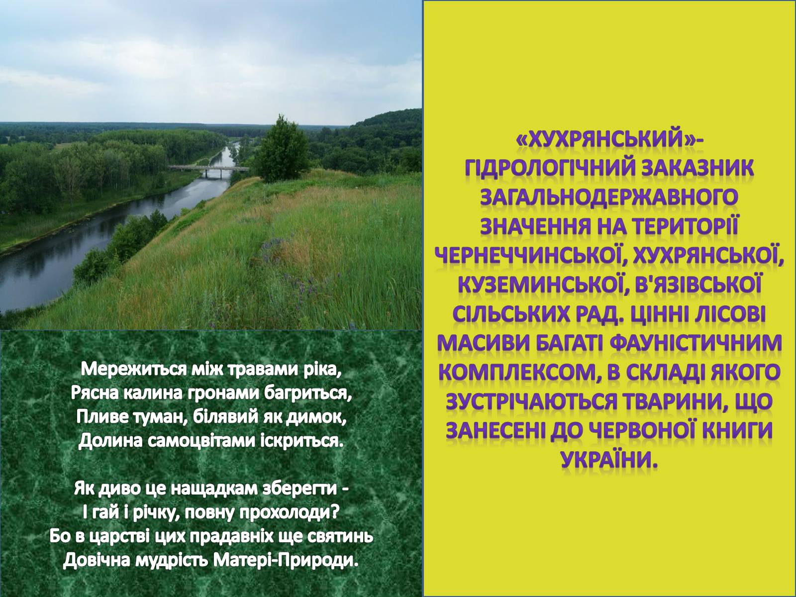 Презентація на тему «Заповідні місця та охороняємі об&#8217;єкти Сумщини» - Слайд #8