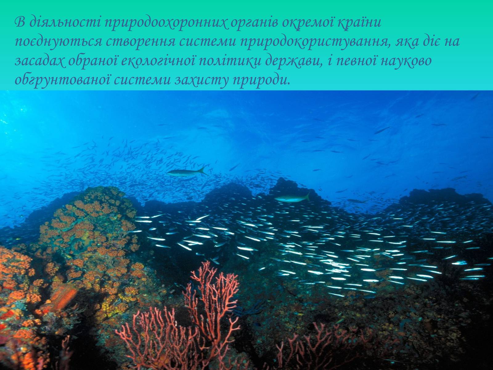 Презентація на тему «Глобальні проблеми світового океану» (варіант 2) - Слайд #14