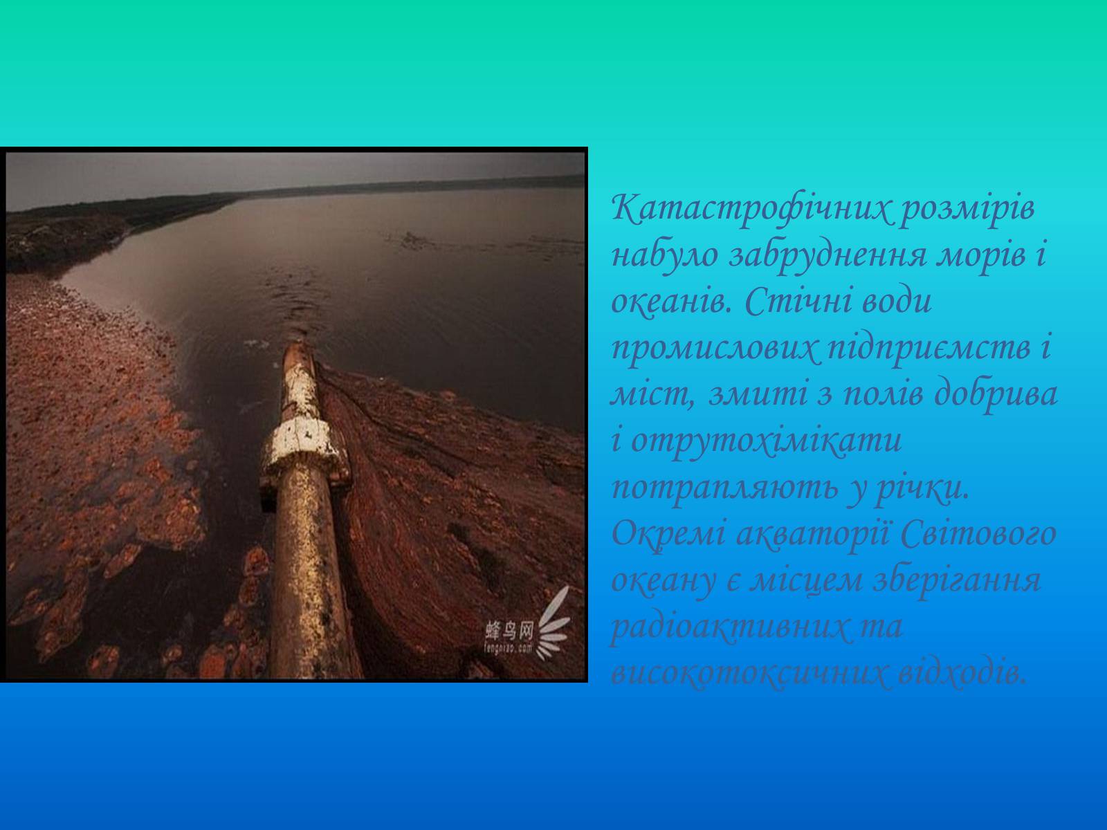 Презентація на тему «Глобальні проблеми світового океану» (варіант 2) - Слайд #4