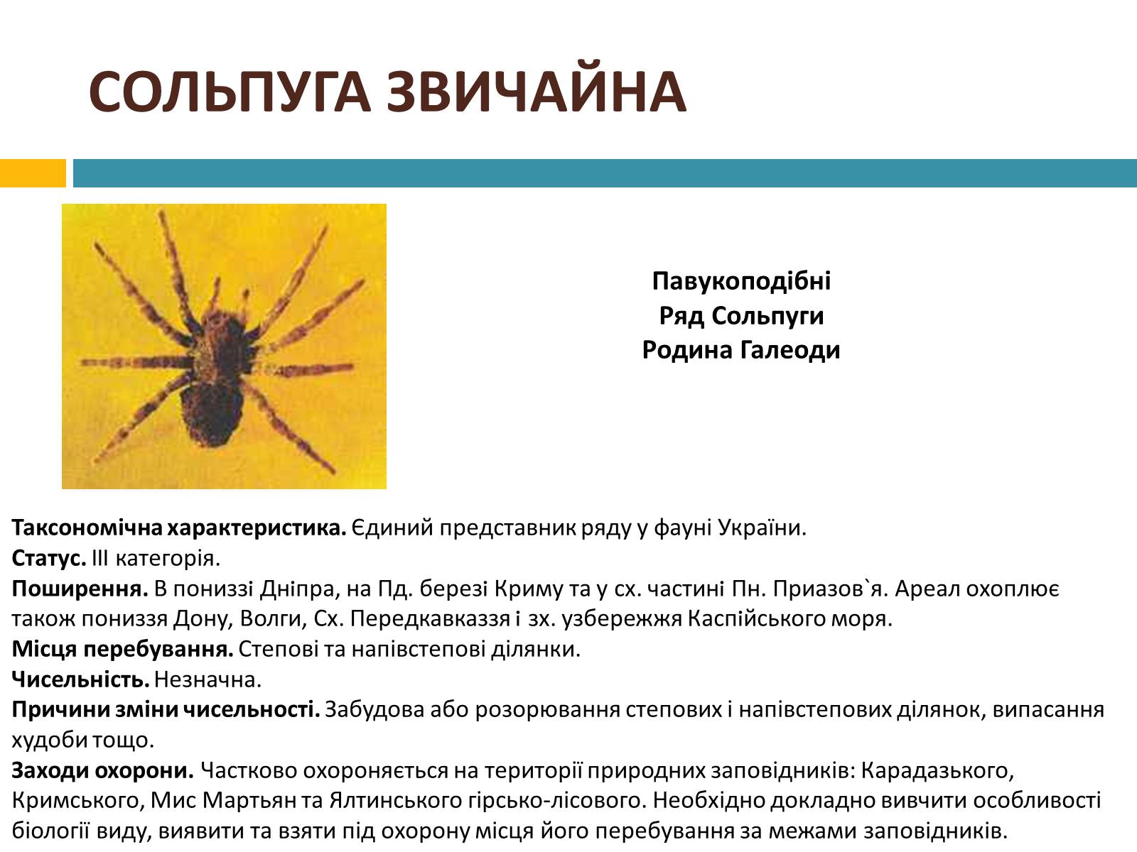 Презентація на тему «Червона книга україни» (варіант 4) - Слайд #6