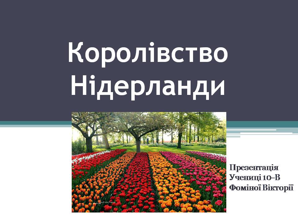 Презентація на тему «Королівство Нідерланди» (варіант 1) - Слайд #1