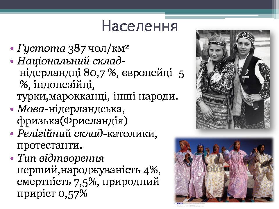 Презентація на тему «Королівство Нідерланди» (варіант 1) - Слайд #5