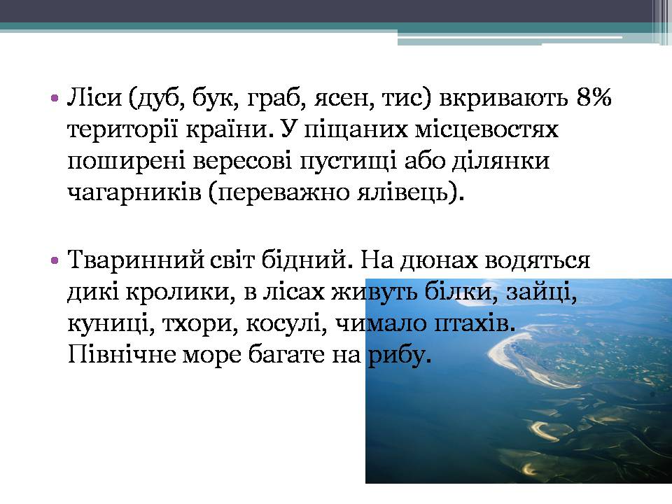 Презентація на тему «Королівство Нідерланди» (варіант 1) - Слайд #9