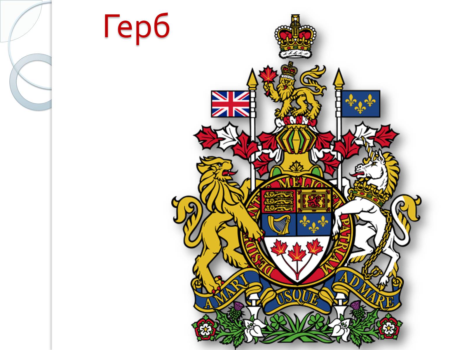 Канадский герб. Герб Канады. Канада флаг и герб. Гос символы Канады. Герб Канады для раскрашивания.
