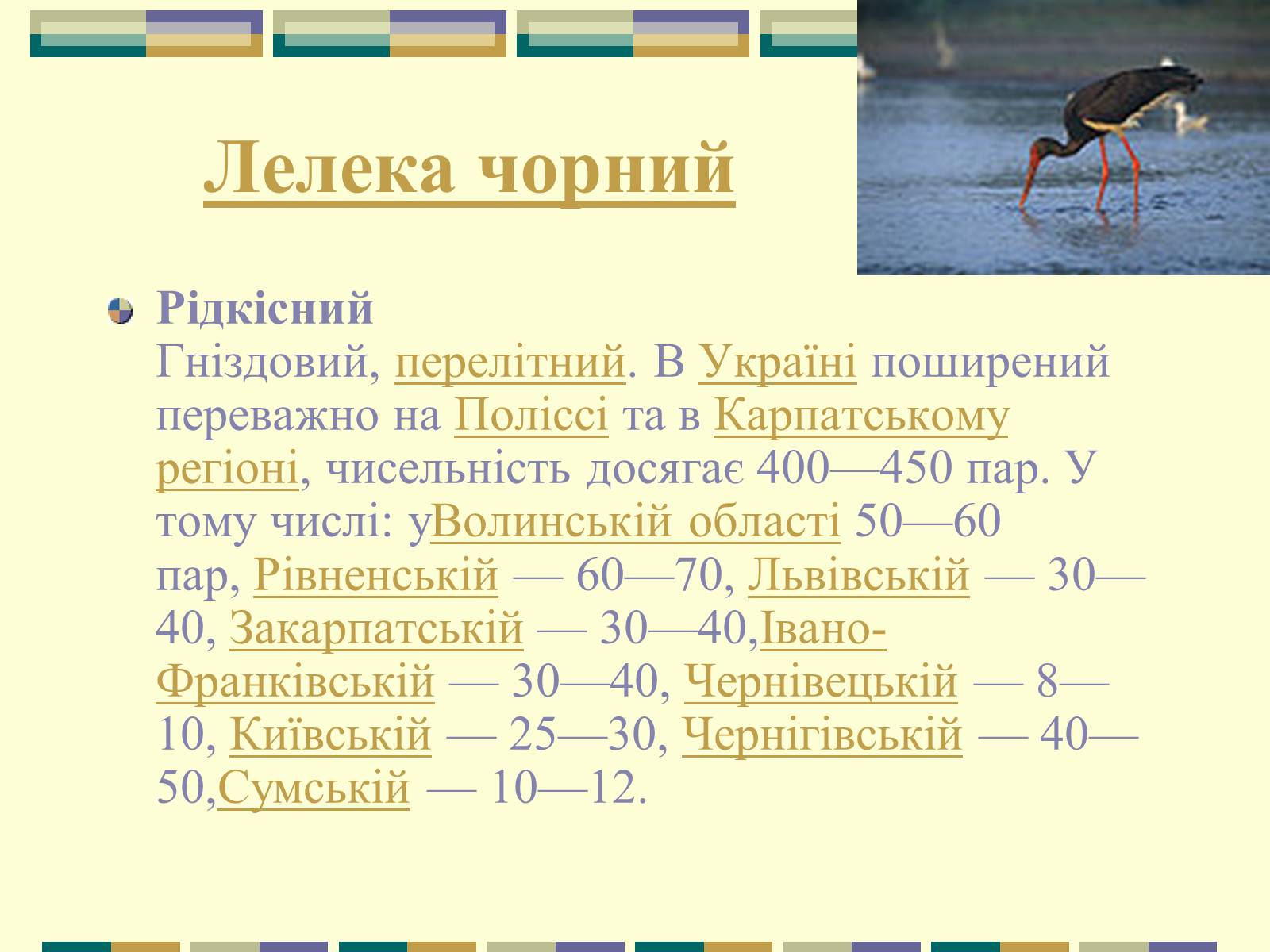 Презентація на тему «Червона книга України» (варіант 11) - Слайд #11