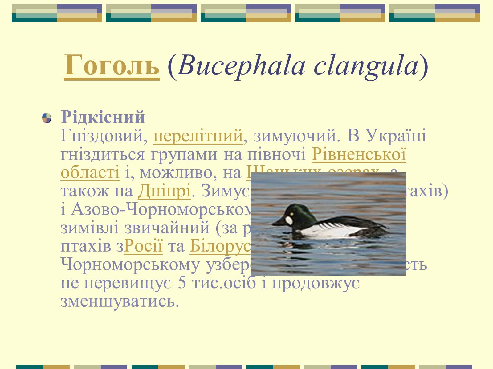 Презентація на тему «Червона книга України» (варіант 11) - Слайд #20