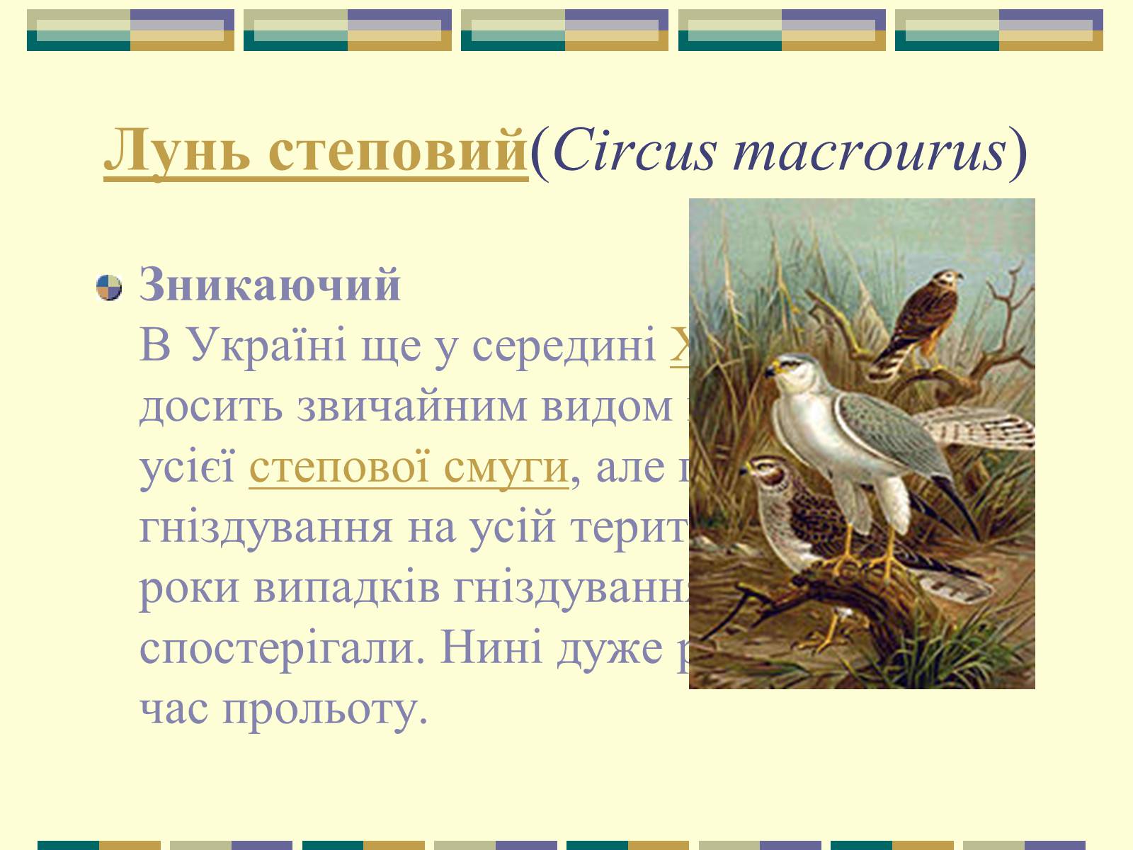 Презентація на тему «Червона книга України» (варіант 11) - Слайд #29