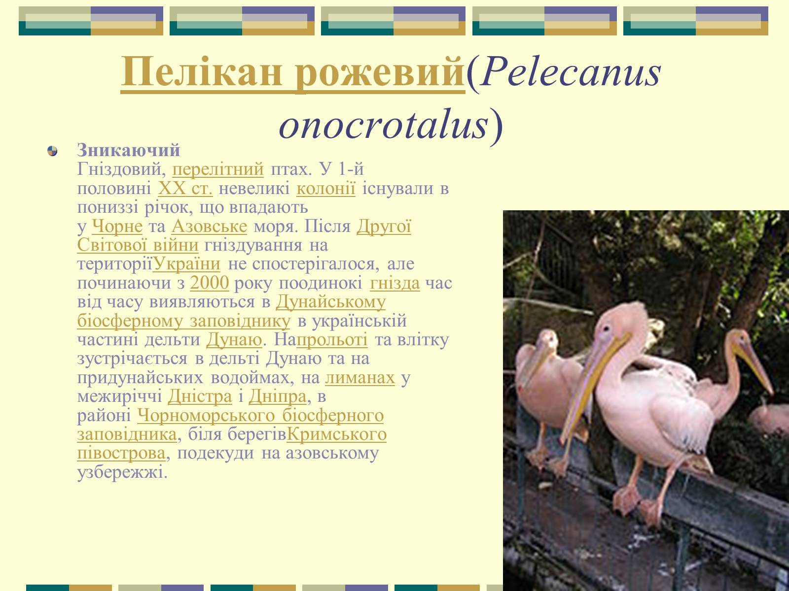 Презентація на тему «Червона книга України» (варіант 11) - Слайд #3