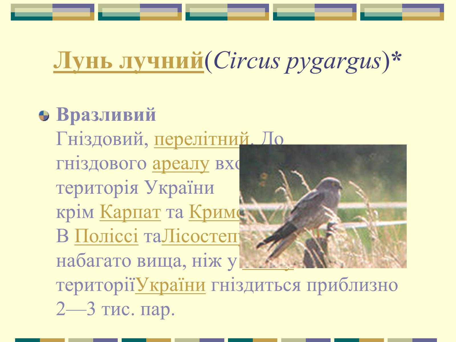 Презентація на тему «Червона книга України» (варіант 11) - Слайд #30