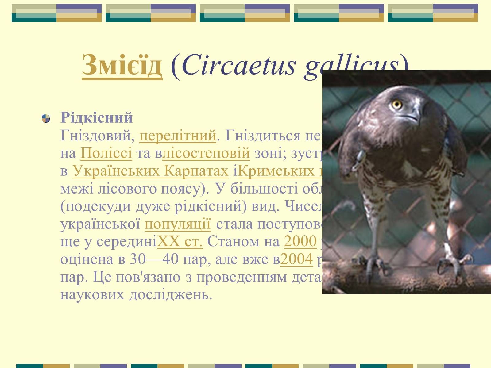 Презентація на тему «Червона книга України» (варіант 11) - Слайд #33