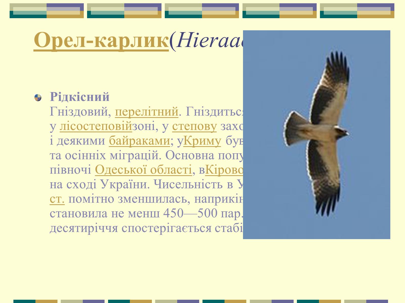 Презентація на тему «Червона книга України» (варіант 11) - Слайд #34