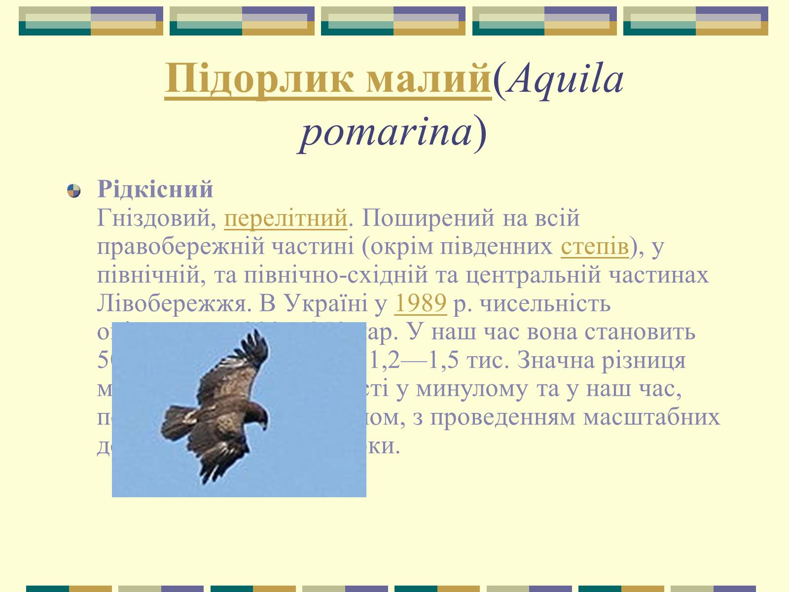 Презентація на тему «Червона книга України» (варіант 11) - Слайд #37