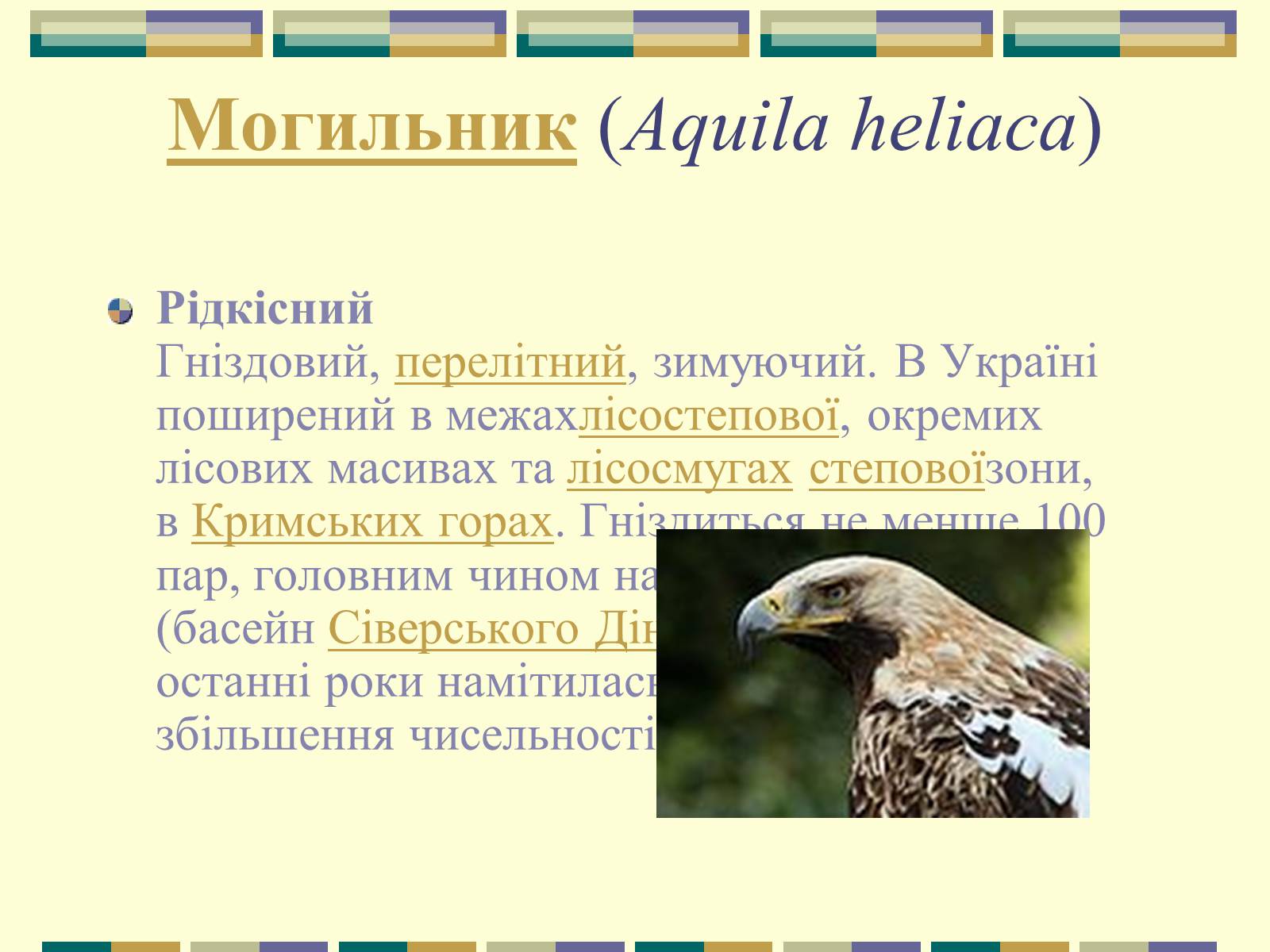 Презентація на тему «Червона книга України» (варіант 11) - Слайд #38