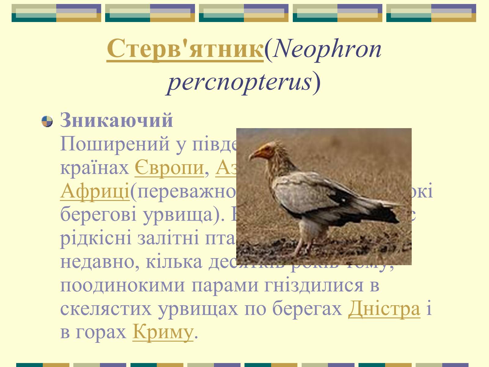 Презентація на тему «Червона книга України» (варіант 11) - Слайд #41