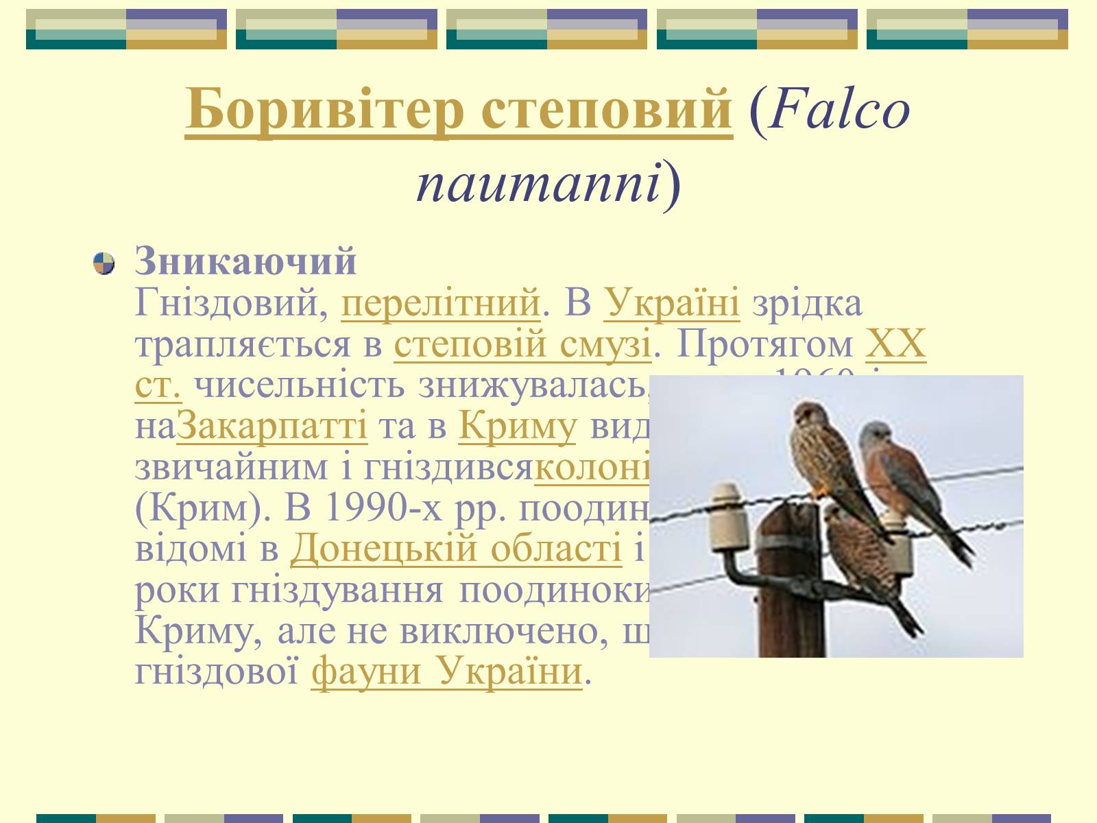 Презентація на тему «Червона книга України» (варіант 11) - Слайд #46