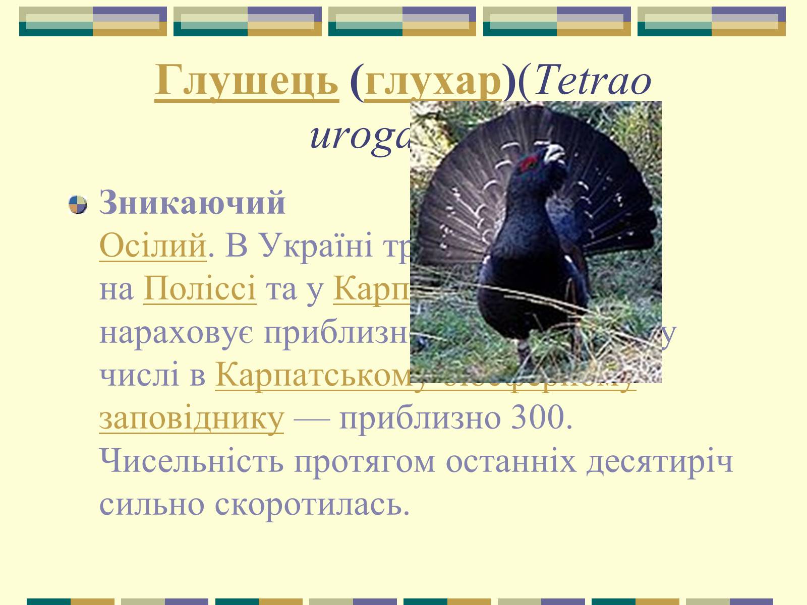 Презентація на тему «Червона книга України» (варіант 11) - Слайд #49