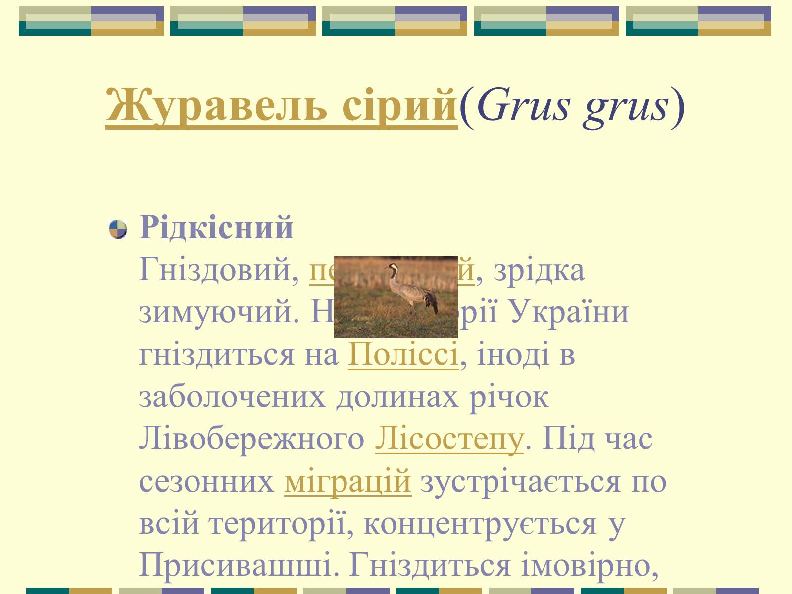 Презентація на тему «Червона книга України» (варіант 11) - Слайд #52