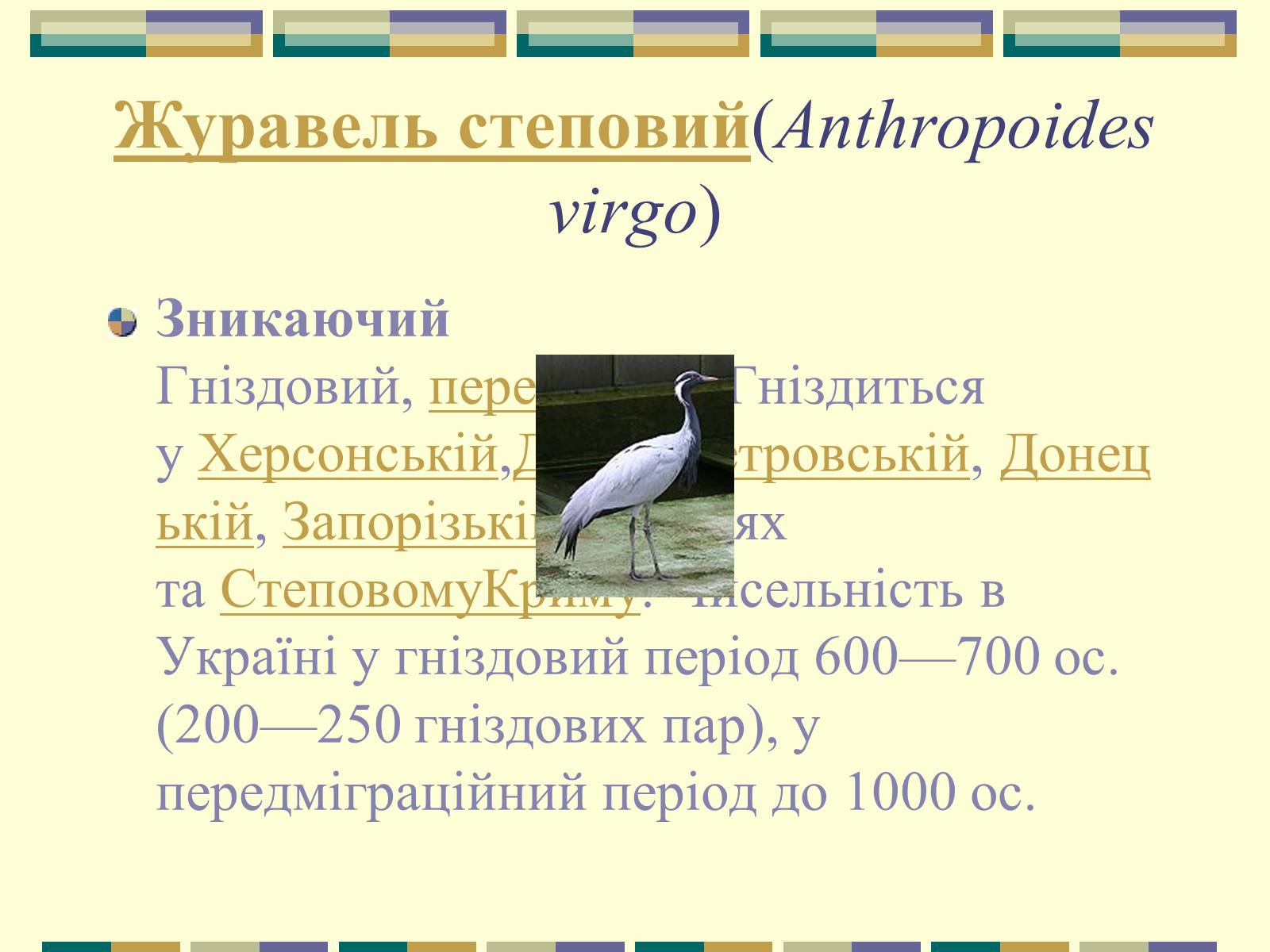 Презентація на тему «Червона книга України» (варіант 11) - Слайд #53