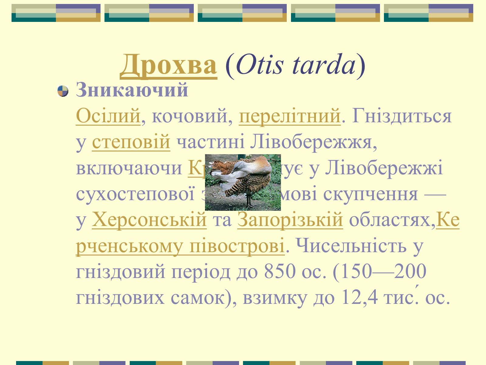 Презентація на тему «Червона книга України» (варіант 11) - Слайд #54