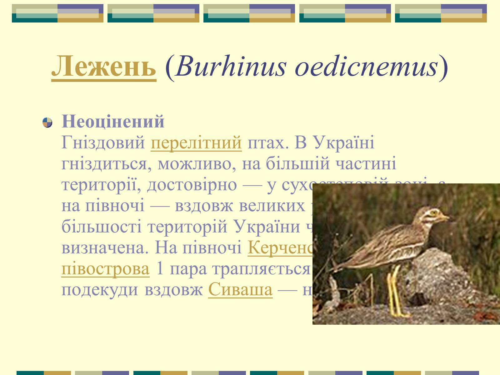 Презентація на тему «Червона книга України» (варіант 11) - Слайд #57