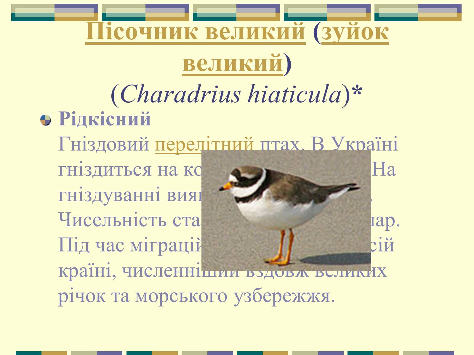 Презентація на тему «Червона книга України» (варіант 11) - Слайд #58