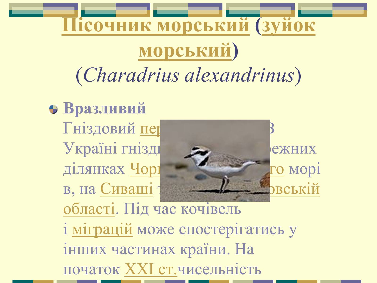 Презентація на тему «Червона книга України» (варіант 11) - Слайд #59