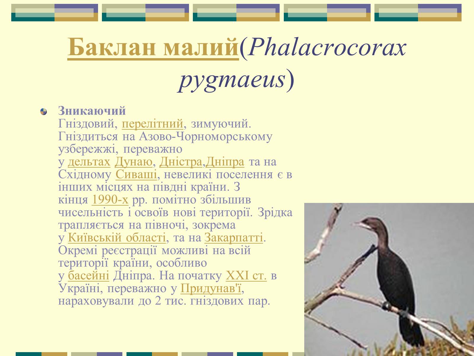 Презентація на тему «Червона книга України» (варіант 11) - Слайд #6