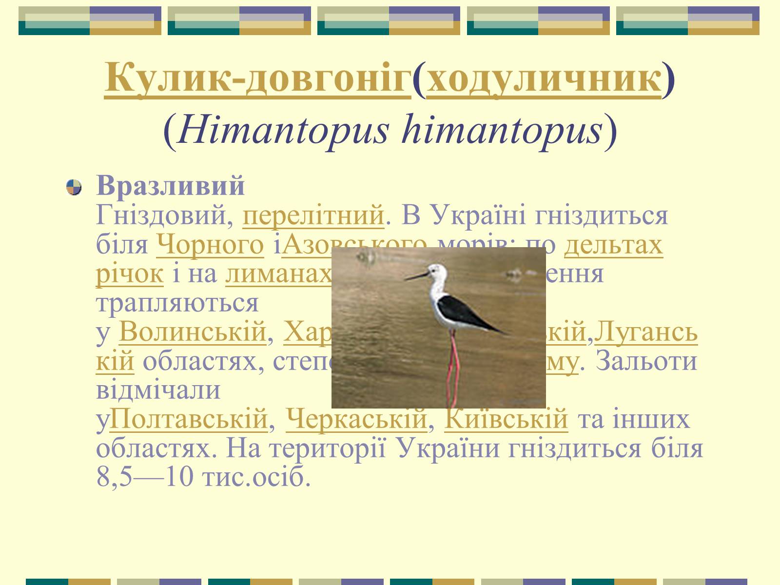 Презентація на тему «Червона книга України» (варіант 11) - Слайд #60