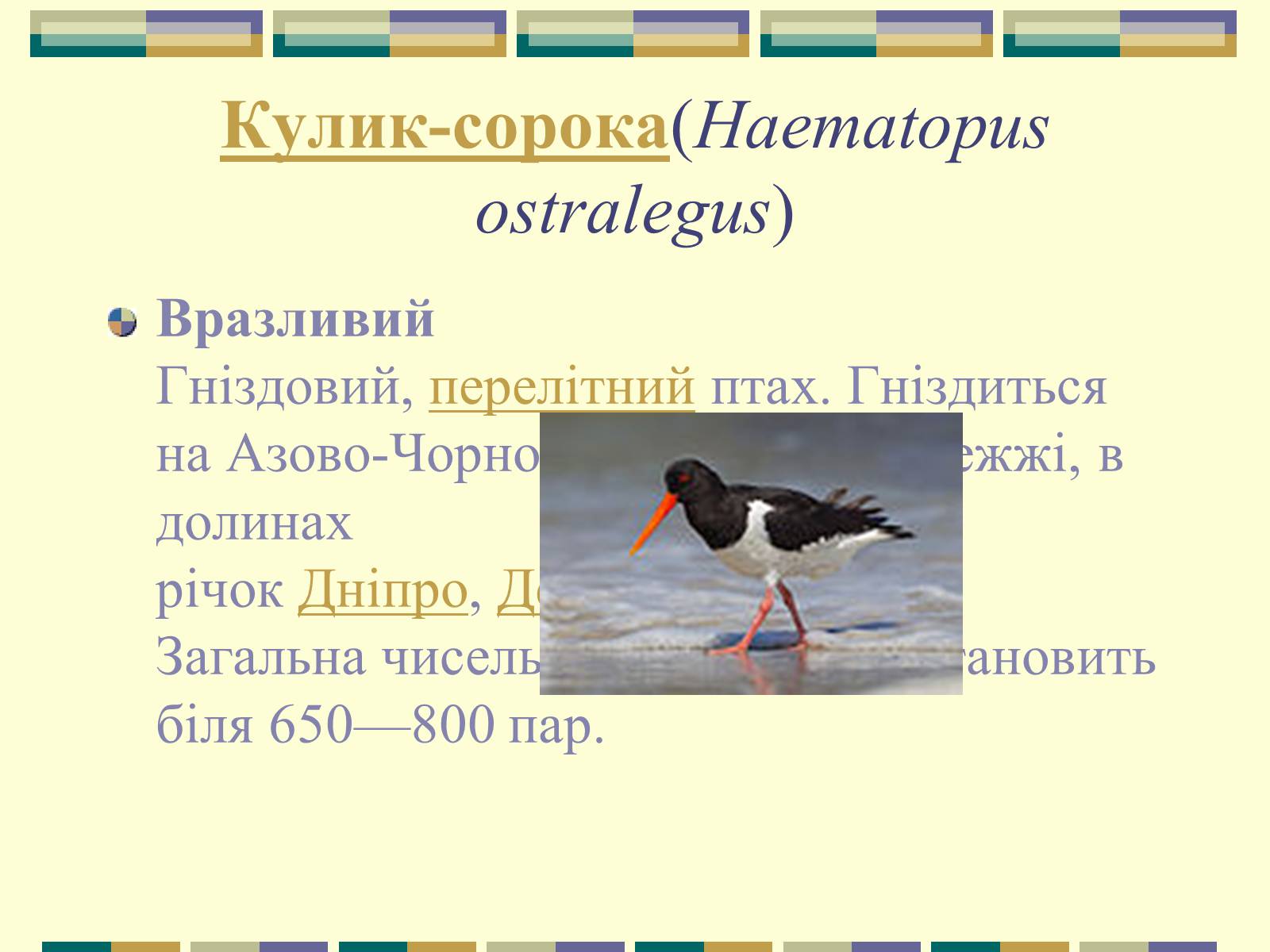 Презентація на тему «Червона книга України» (варіант 11) - Слайд #62