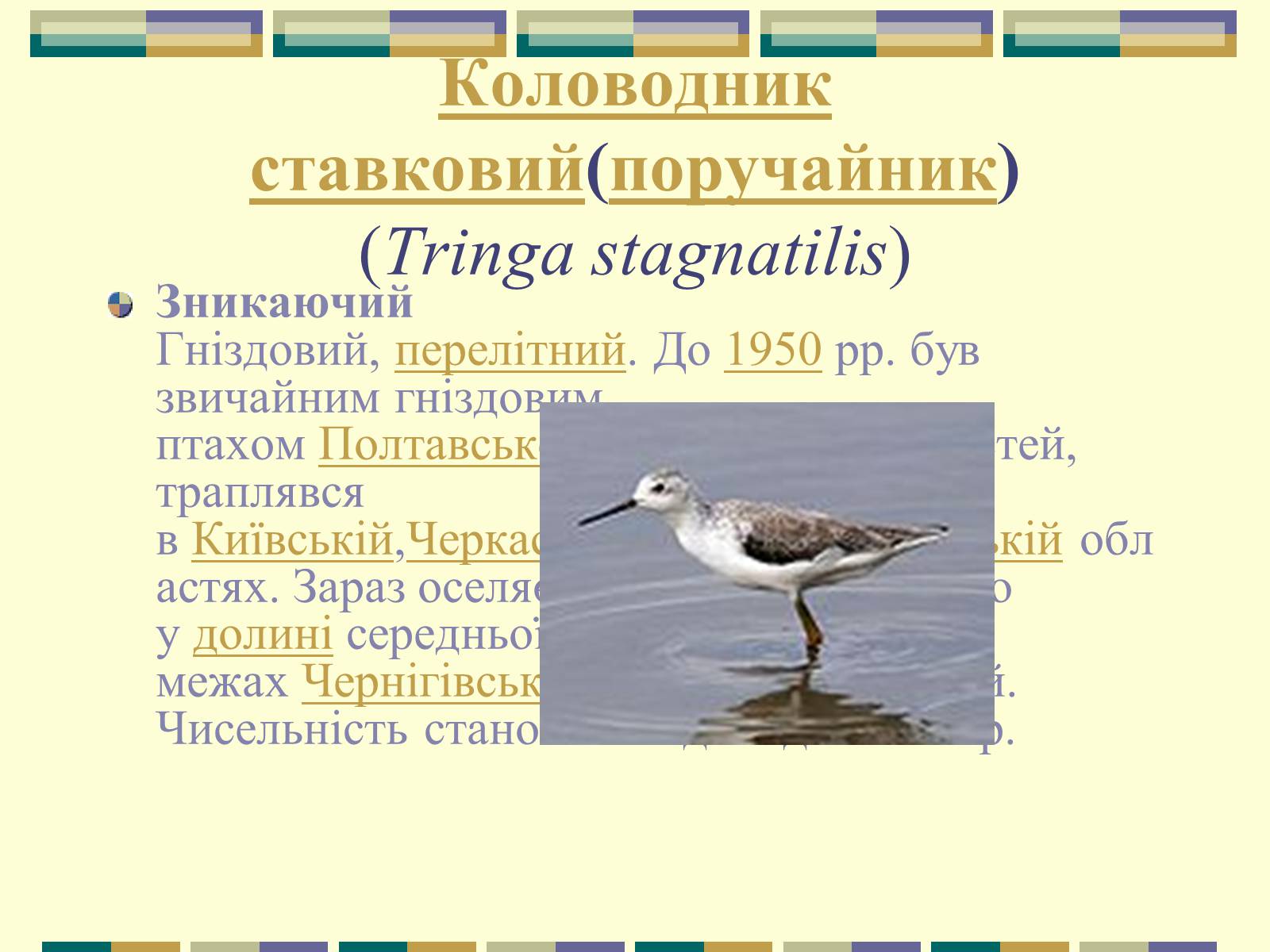 Презентація на тему «Червона книга України» (варіант 11) - Слайд #63