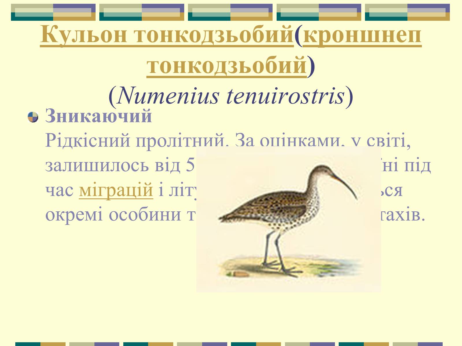 Презентація на тему «Червона книга України» (варіант 11) - Слайд #65