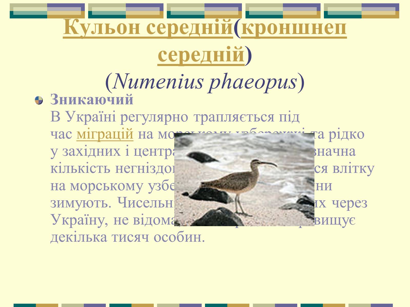 Презентація на тему «Червона книга України» (варіант 11) - Слайд #67