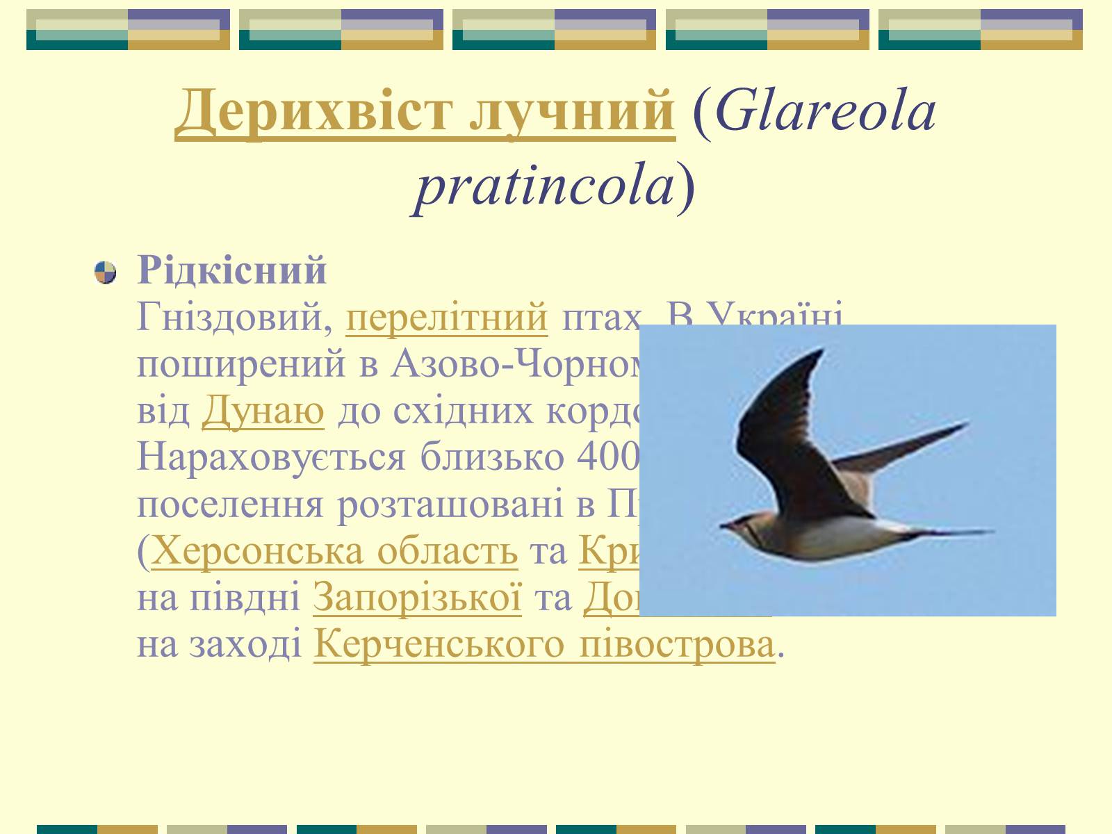 Презентація на тему «Червона книга України» (варіант 11) - Слайд #68