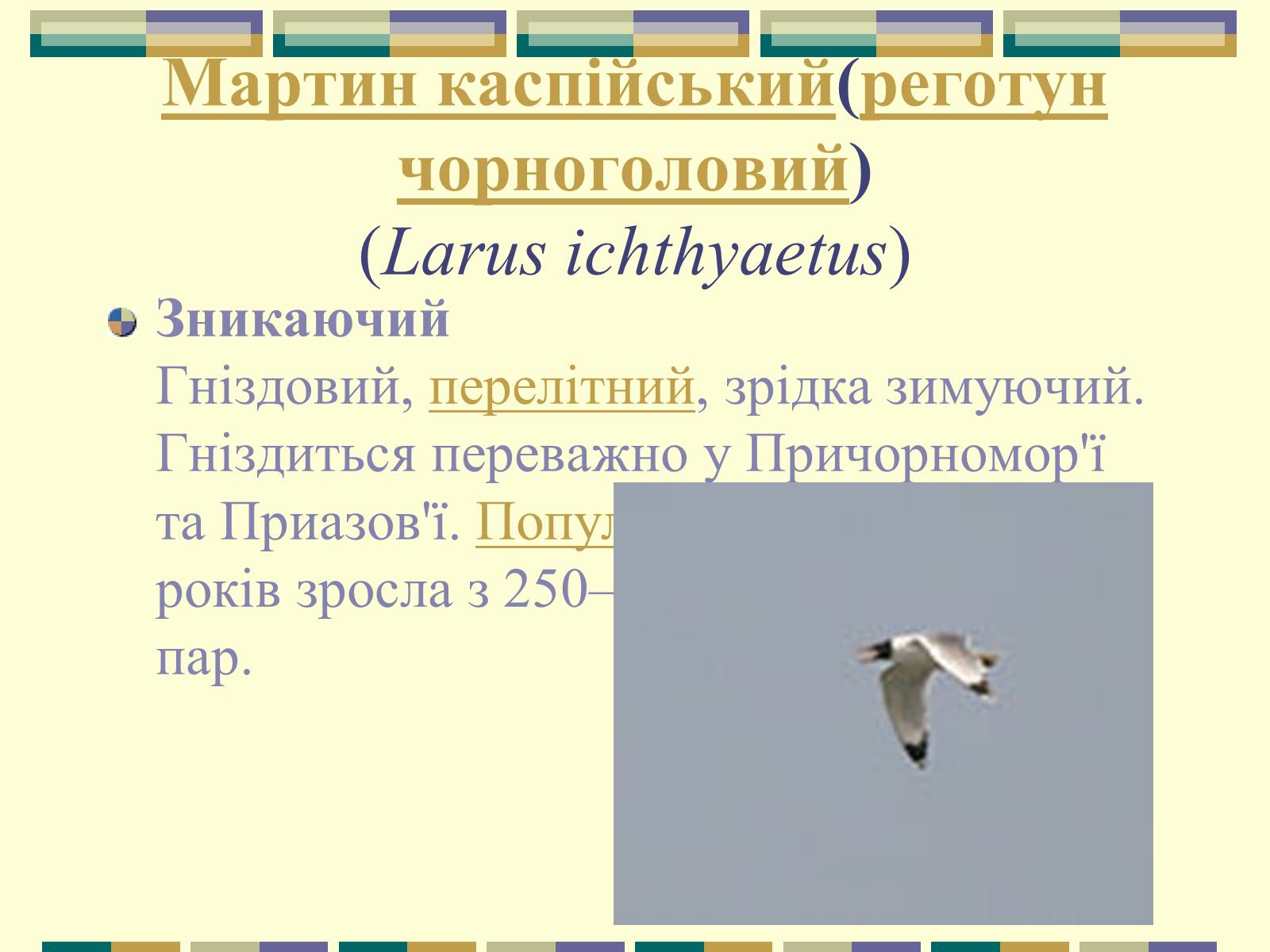 Презентація на тему «Червона книга України» (варіант 11) - Слайд #70