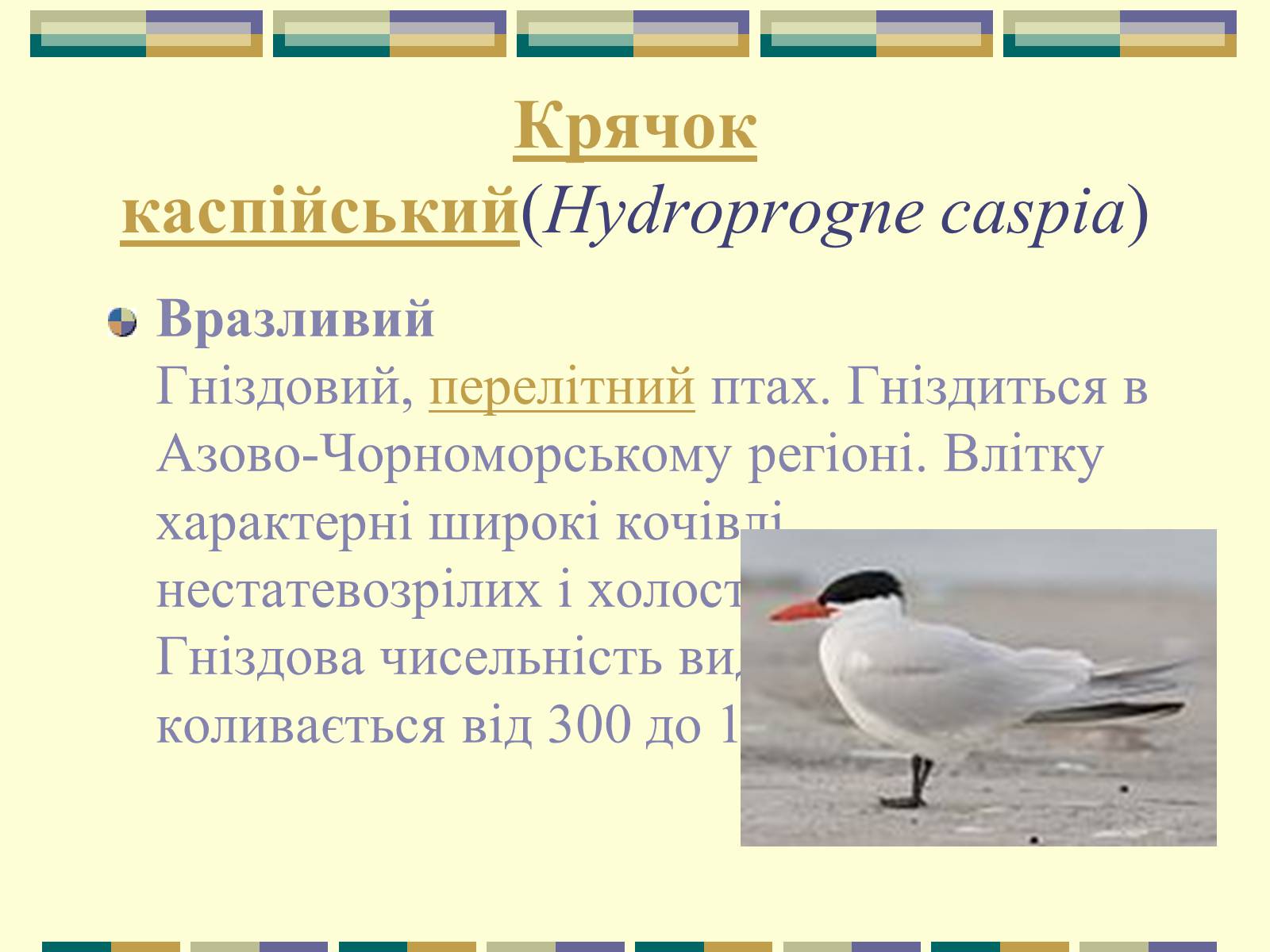 Презентація на тему «Червона книга України» (варіант 11) - Слайд #71