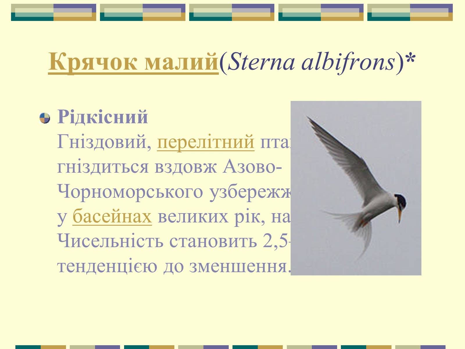 Презентація на тему «Червона книга України» (варіант 11) - Слайд #72