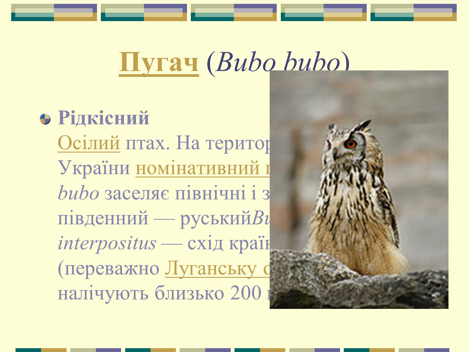 Презентація на тему «Червона книга України» (варіант 11) - Слайд #76