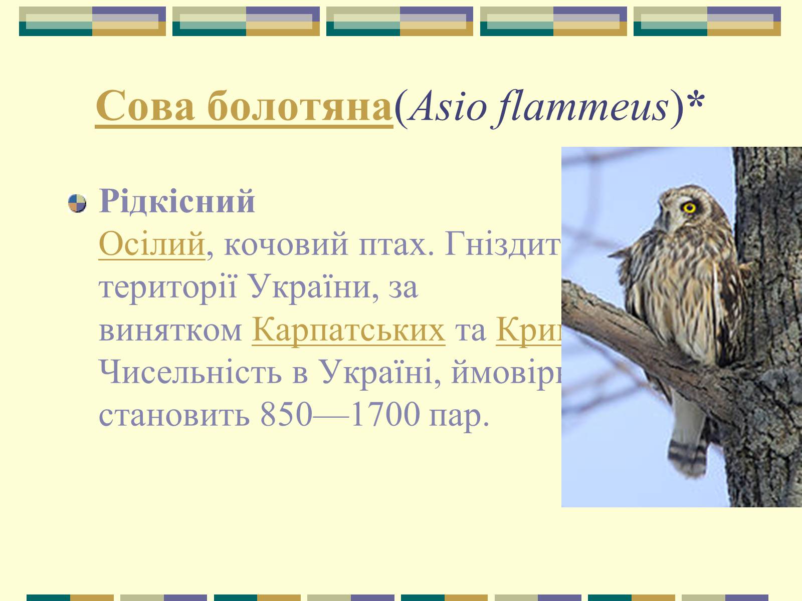 Презентація на тему «Червона книга України» (варіант 11) - Слайд #77