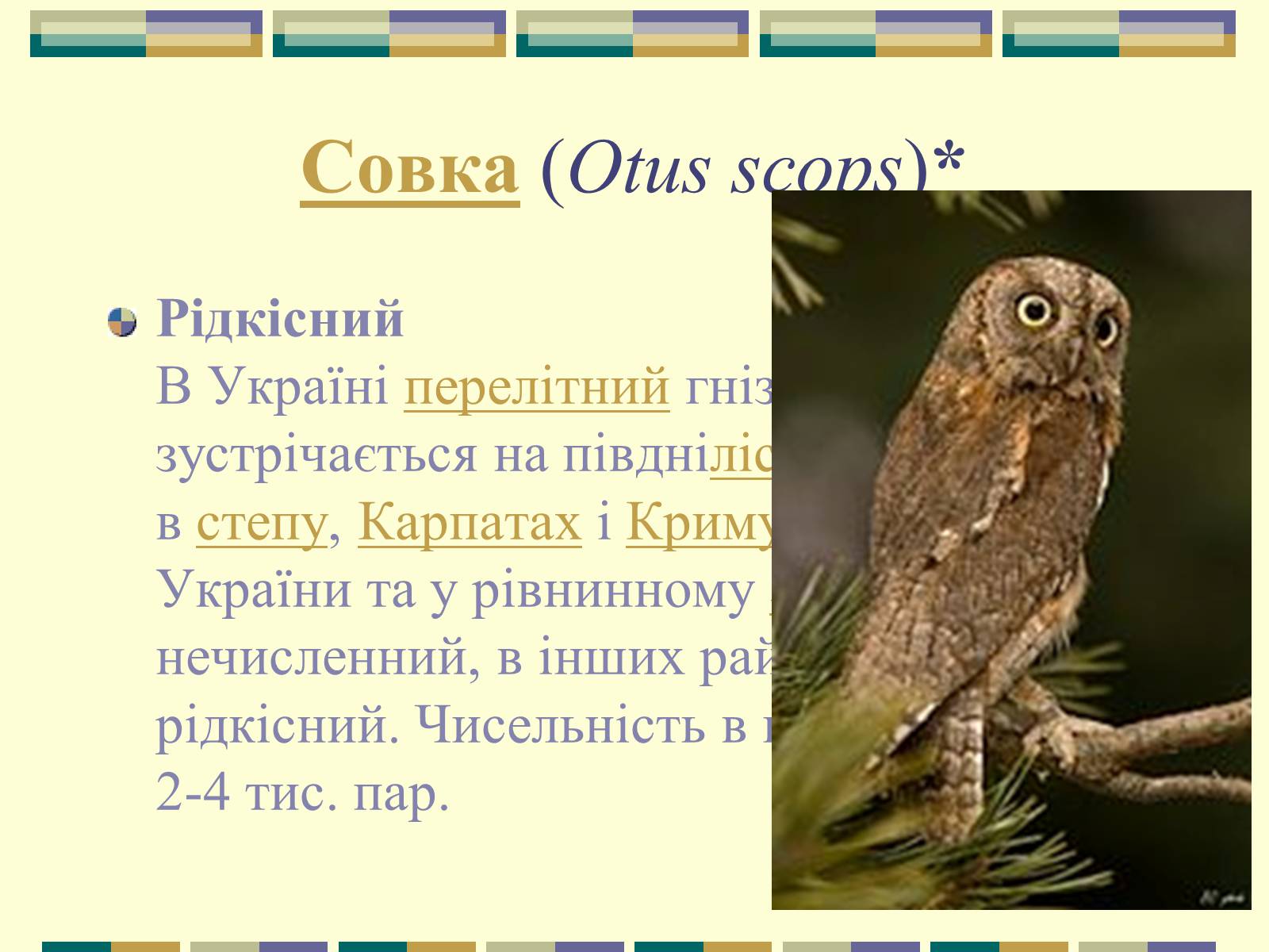 Презентація на тему «Червона книга України» (варіант 11) - Слайд #78