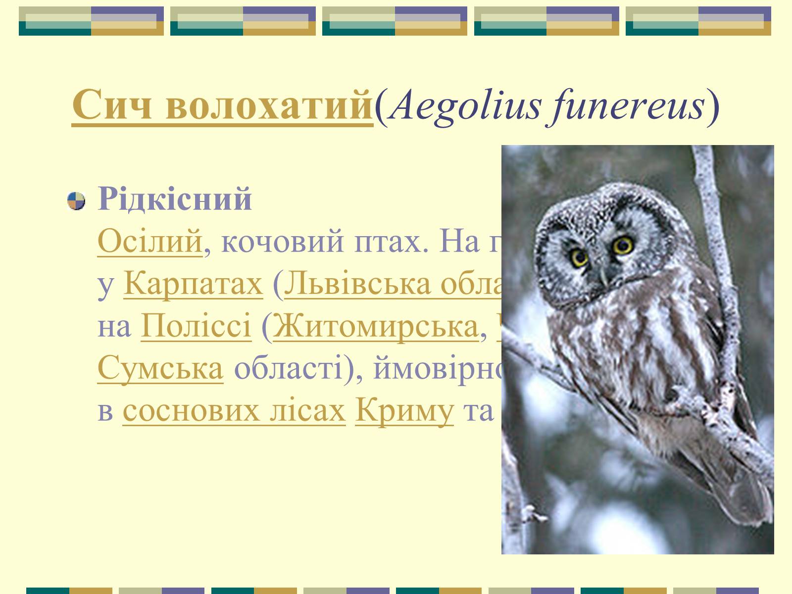 Презентація на тему «Червона книга України» (варіант 11) - Слайд #79