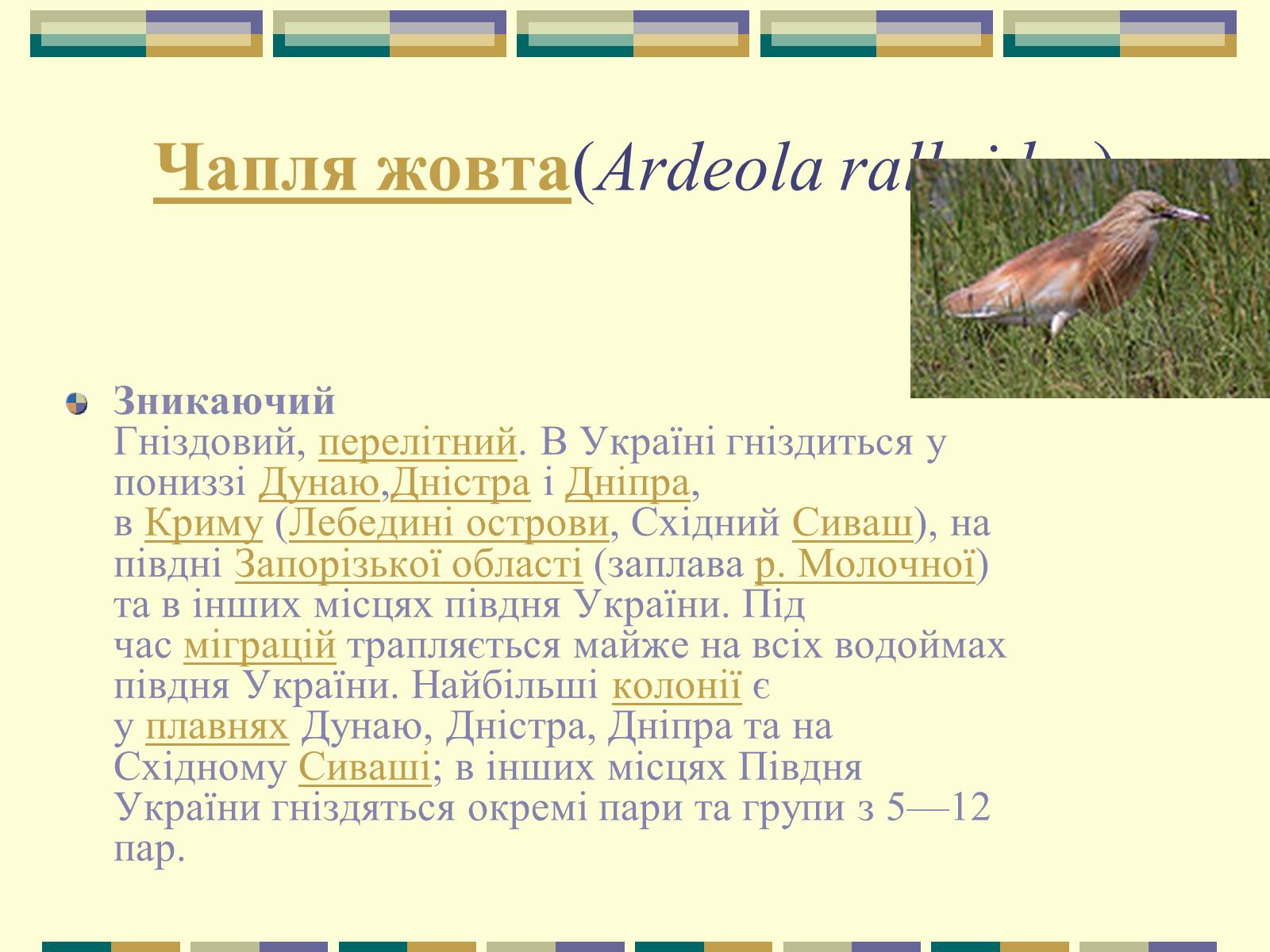 Презентація на тему «Червона книга України» (варіант 11) - Слайд #8