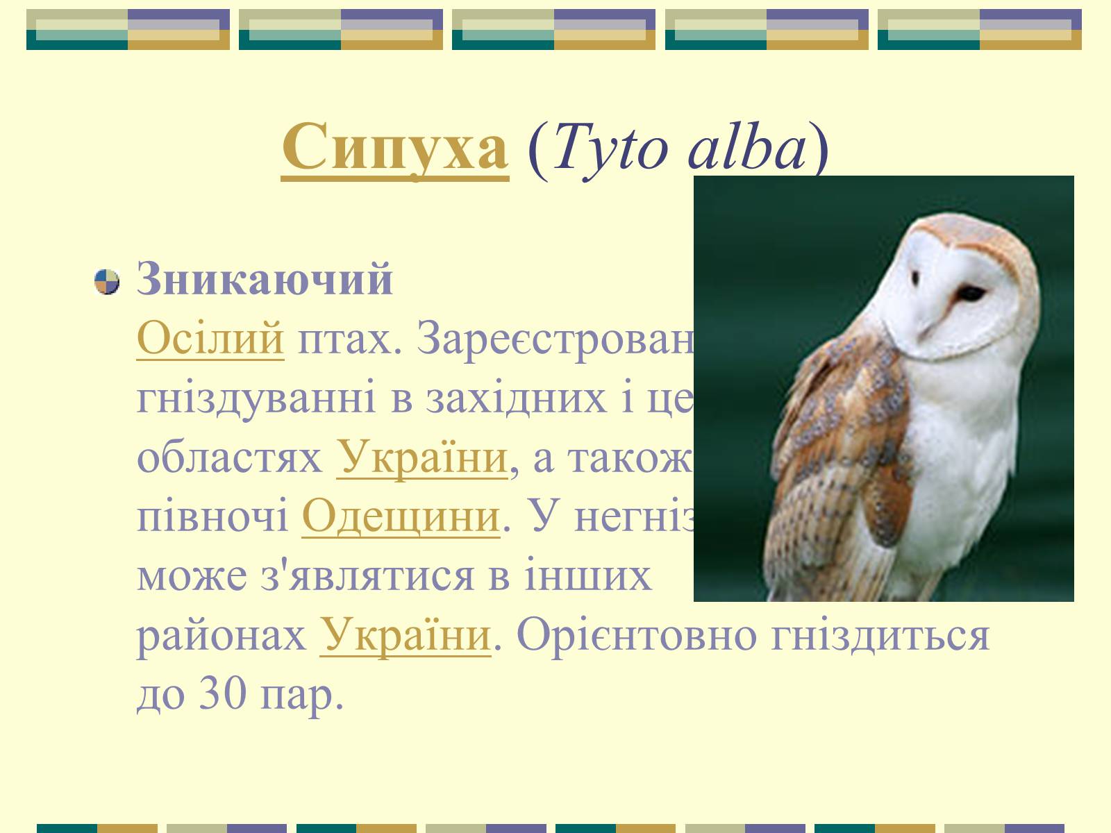 Презентація на тему «Червона книга України» (варіант 11) - Слайд #83