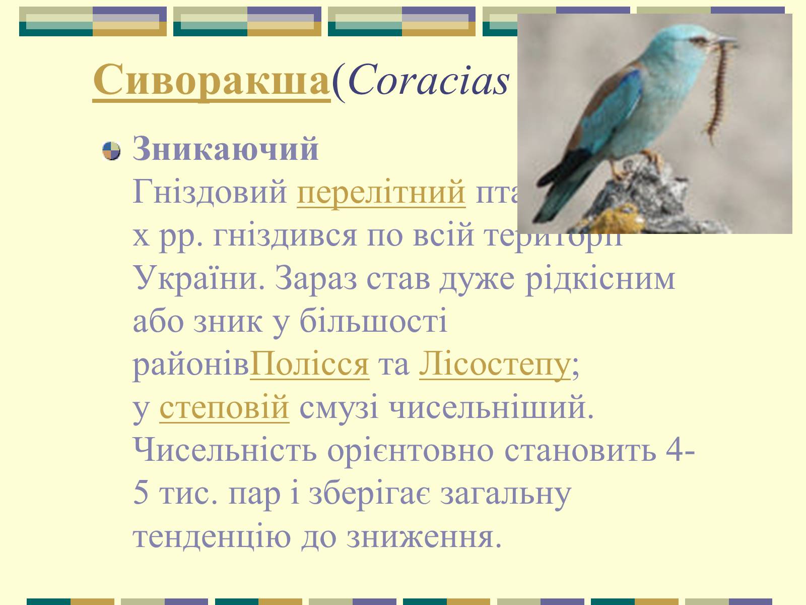 Презентація на тему «Червона книга України» (варіант 11) - Слайд #85