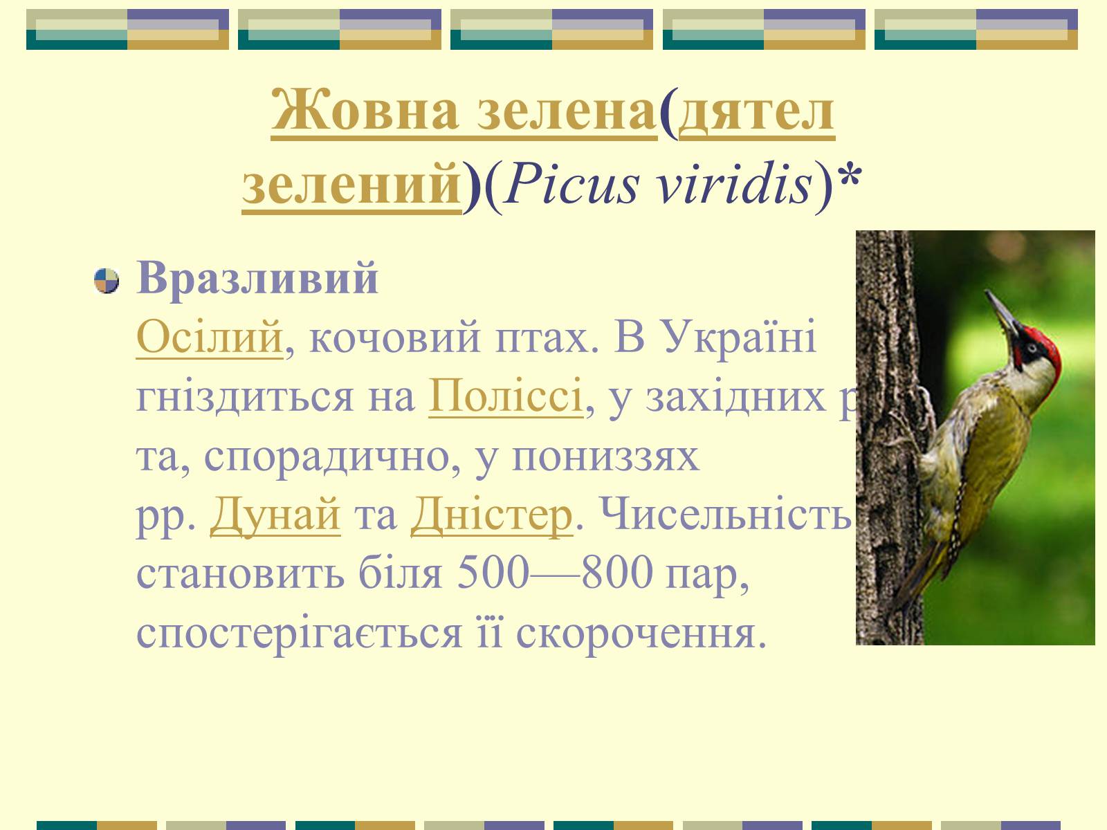 Презентація на тему «Червона книга України» (варіант 11) - Слайд #87