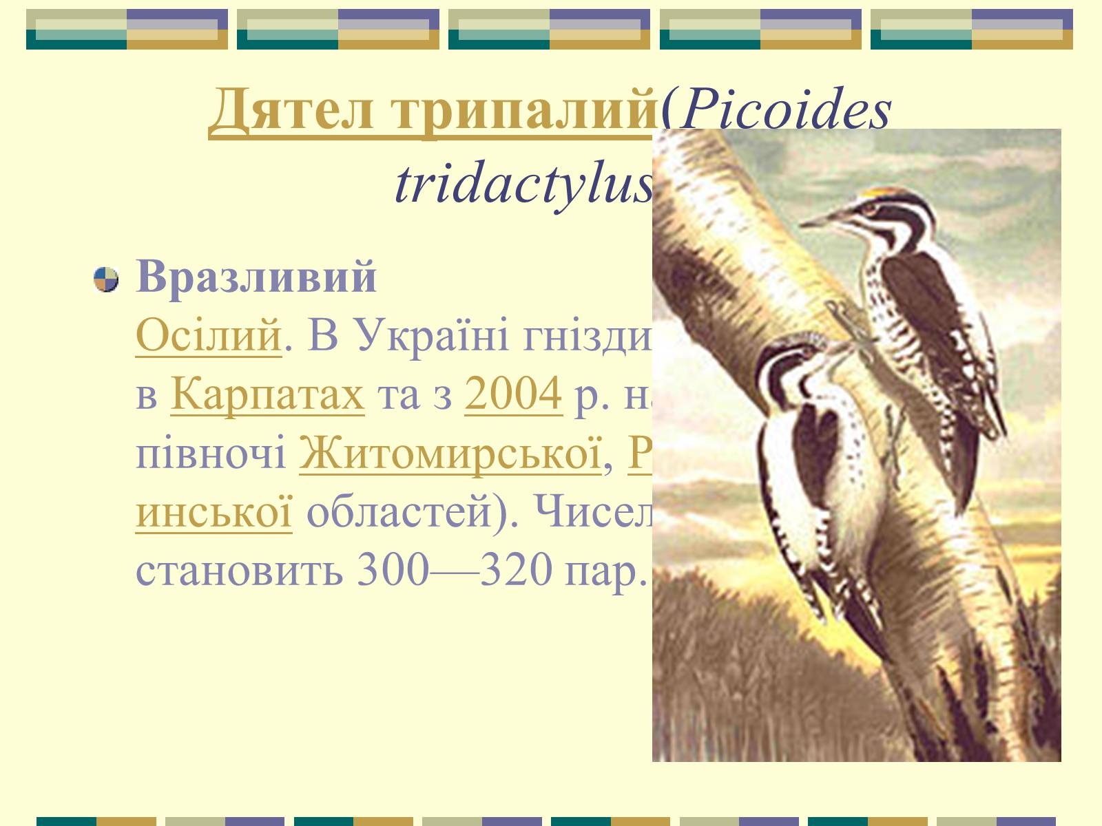 Презентація на тему «Червона книга України» (варіант 11) - Слайд #89