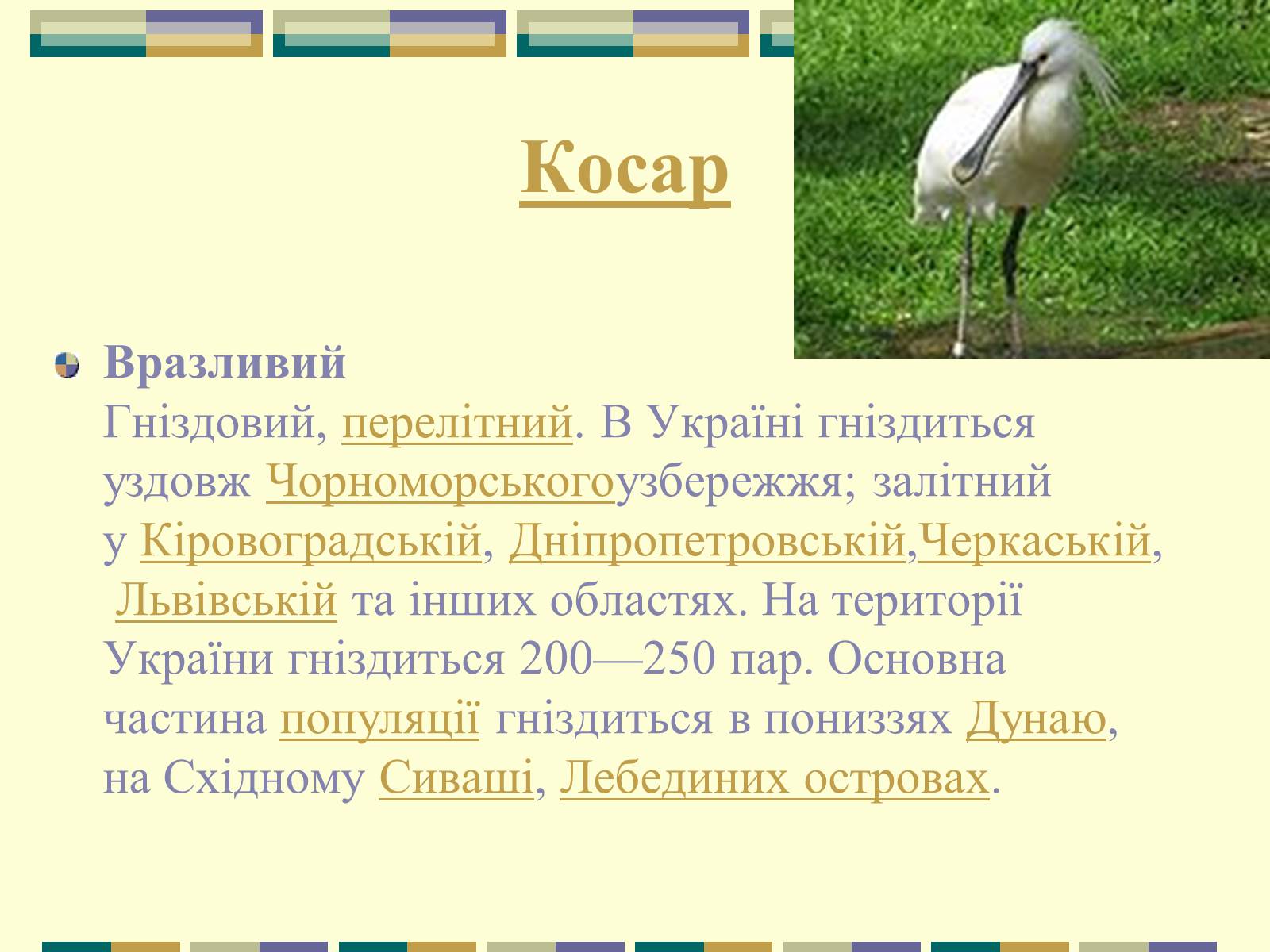 Презентація на тему «Червона книга України» (варіант 11) - Слайд #9