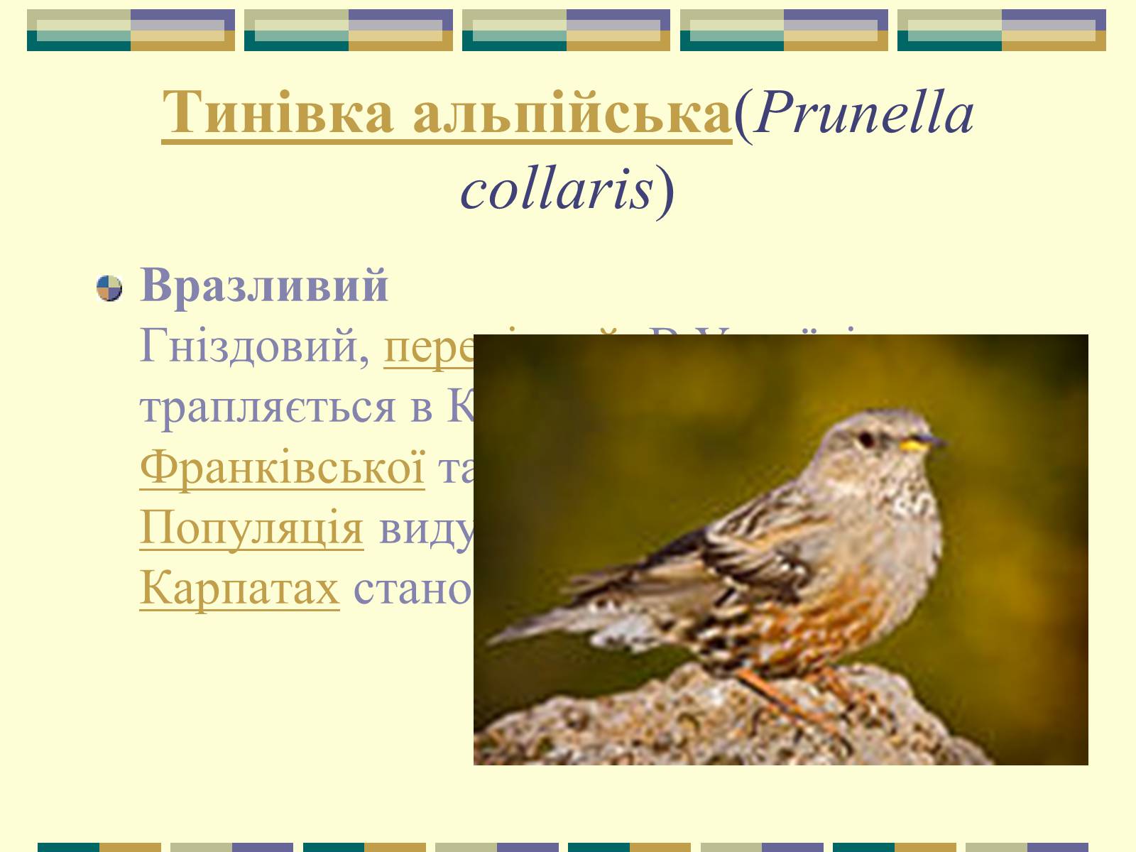 Презентація на тему «Червона книга України» (варіант 11) - Слайд #95