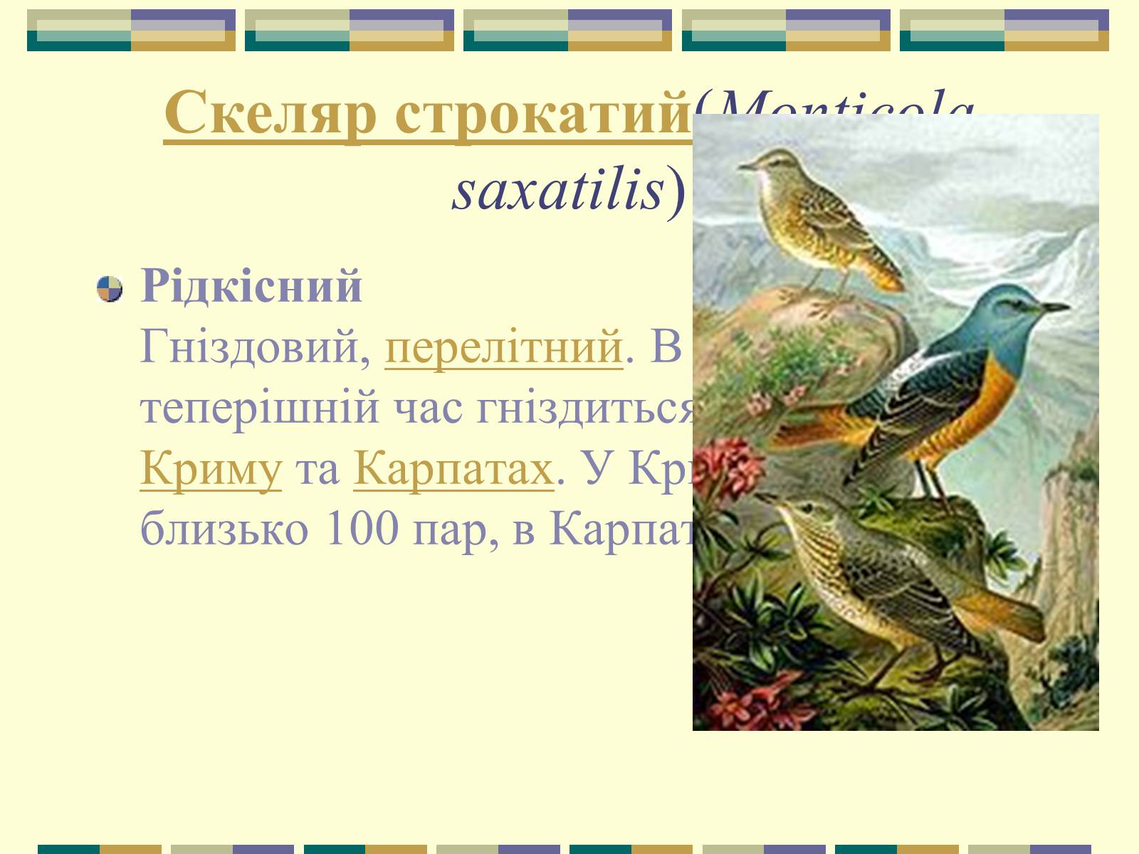 Презентація на тему «Червона книга України» (варіант 11) - Слайд #98