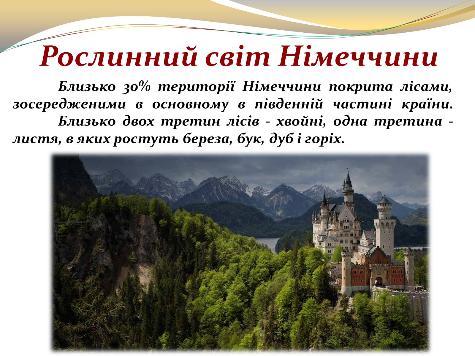 Презентація на тему «Федеративна Республіка Німеччина» (варіант 3) - Слайд #9