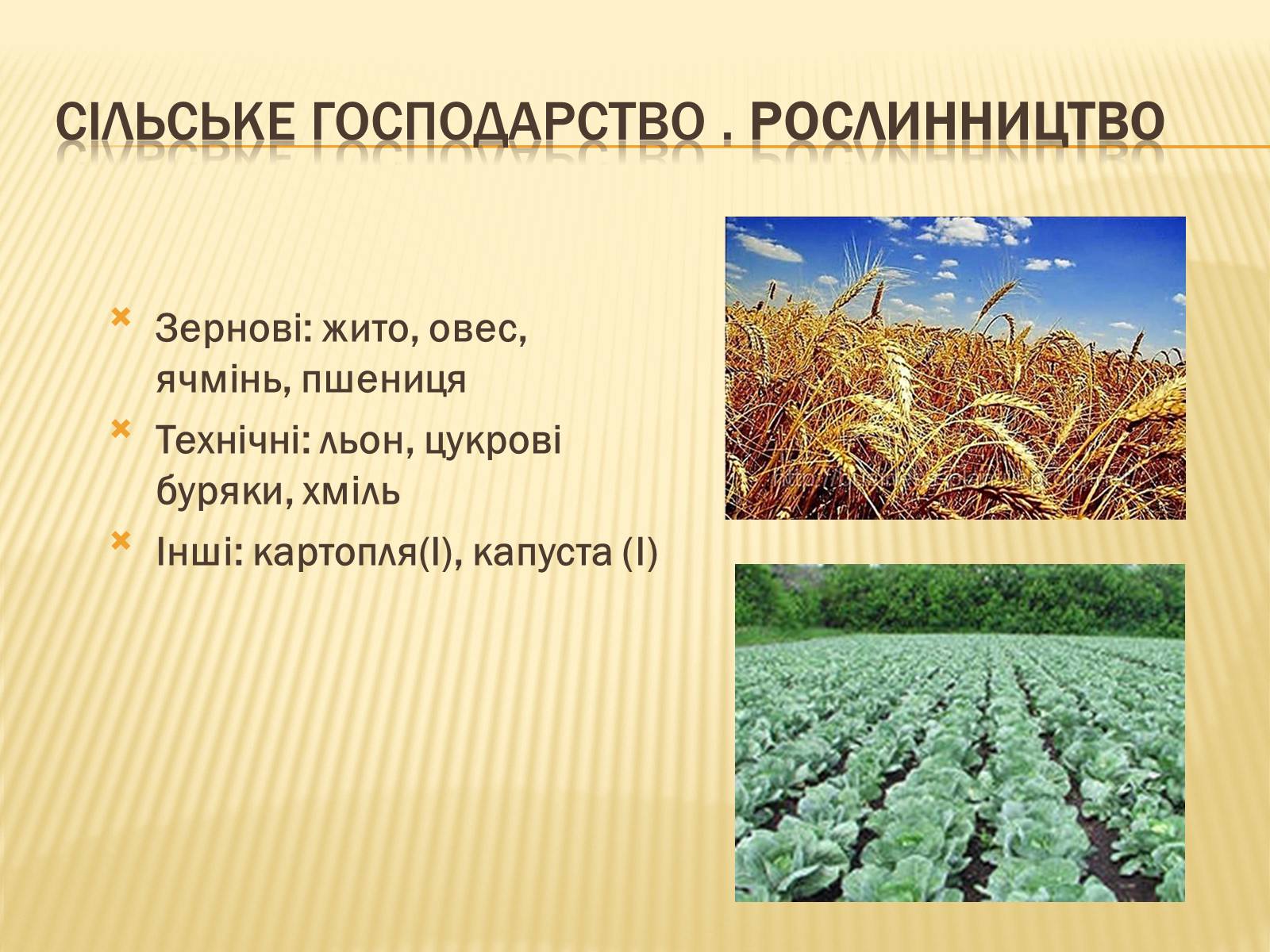 Презентація на тему «Республіка Польща» (варіант 6) - Слайд #23